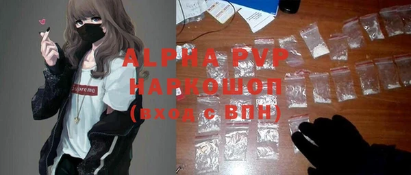стафф Новокубанск