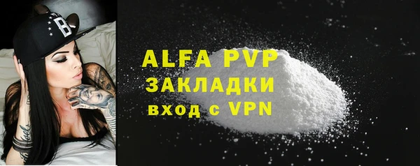 стафф Новокубанск