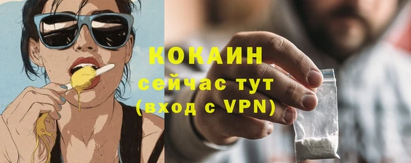 стафф Новокубанск