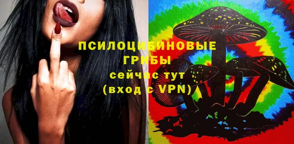 ГАЛЛЮЦИНОГЕННЫЕ ГРИБЫ Нея