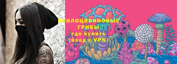 спиды Новозыбков