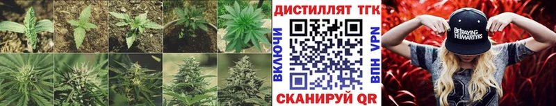 Дистиллят ТГК THC oil  Клинцы 