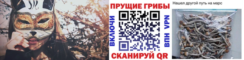 Псилоцибиновые грибы мухоморы  ссылка на мегу рабочий сайт  Клинцы 