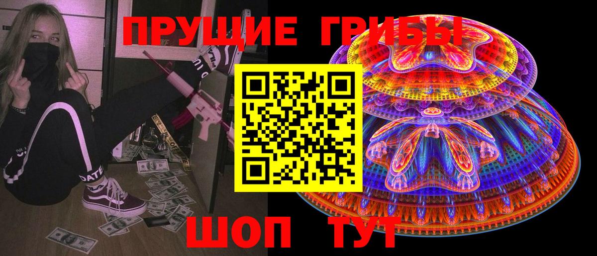 Клинцы  Псилоцибиновые грибы мицелий  Вход с VPN 